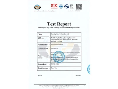 Fuyi Switch LZZBJ9-10 Current Transformer Passed IEC 61869 Type Tests